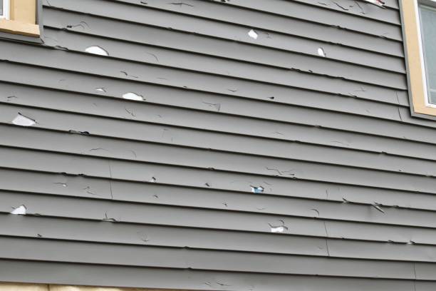 Same-Day Junk Removal Services in Riverbend, WA